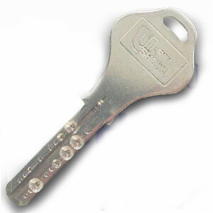 NewEXL[V_[(U-SHIN SHOWA NXL[)