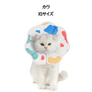 Avont yyV1ʁzGUxXJ[ p Lp \tg y p ی rߖh~ ?h~