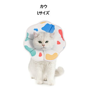 Avont yyV1ʁzGUxXJ[ p Lp \tg y p ی rߖh~ ?h~