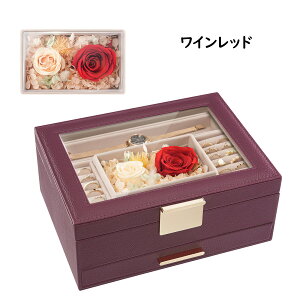 Lolalet ANZT[P[X uXbg[{bNX wփP[X CAOEsAX[ oOrvp̃[t fBXvCz_[  ̎q Wt WG[[