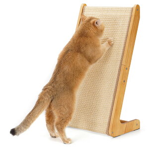 Avont L ܂Ƃ c^ L^ ^ ϋv TCU 110°px LbgXNb`[ Ƌ