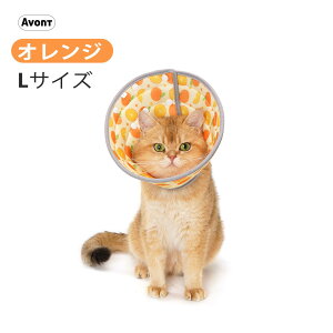 AvontGUxXJ[ Lp ^p K ʋC _炩 \tg Q y XgXt[ p ی rߖh~ ?h~ 3iK bV SEMELTCY