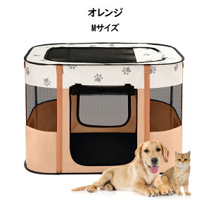 Avont  L T[N ܂肽ݎ ƃbVhAgbvt  O P[W ybgnEX