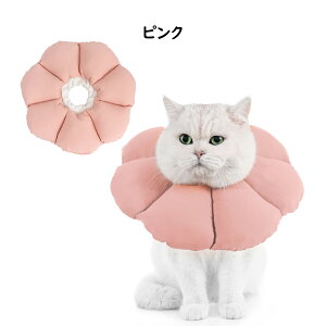 Avont GUxXJ[ p Lp \tg y p ی rߖh~ ?h~