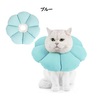 Avont GUxXJ[ p Lp \tg y p ی rߖh~ ?h~