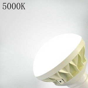 yɋPEⓔ250WIzledⓔ LEDoXgXⓔ E26 VpLED PAR38 LEDX|bgCg LEDr[d e26 250W^ⓔp ledoXgXⓔ d25W S5000lm E26