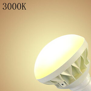 yɋPEⓔ250WIzledⓔ LEDoXgXⓔ E26 VpLED PAR38 LEDX|bgCg LEDr[d e26 250W^ⓔp ledoXgXⓔ d25W S5000lm E26