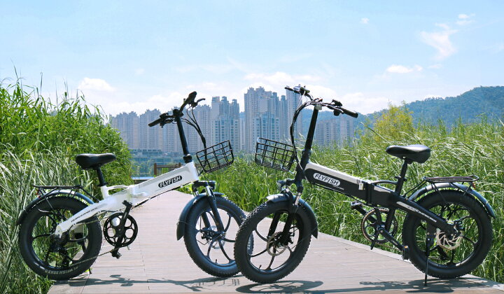 楽天市場】☆P2倍☆型式認定獲得 電動アシスト自転車 20インチ 