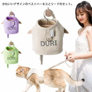 S3F L Lp n[lX [ht ybg xXg  킢 ȒP U  o K EȒP lRpi ybgObY ybgpi