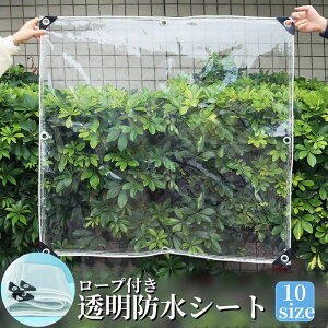 hV[g 10TCY PVC hV[g  J悯 悯 O V[g O [vt rj[ Jo[  h h ܂肽 RpNg |  A ی K[fj
