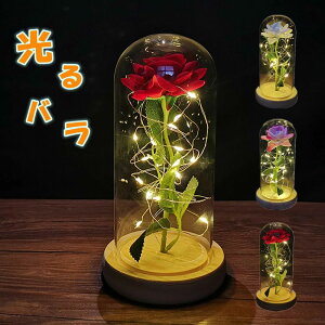 o  Cg KXh[ [Y KN   u  dr o  ޏ  a LO  j 蕨 v[g