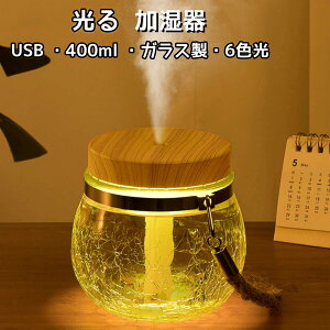  KXr ^ 400ml É  usb ~j  6F RpNg  킢 g CeA CX^ f KX r Q rO ^ ȒP