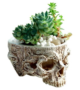 XJ K[f |bg hN v^[ Aؔ CeA  W  [ KCRc A  Cxg  nEB ObY u IuWF