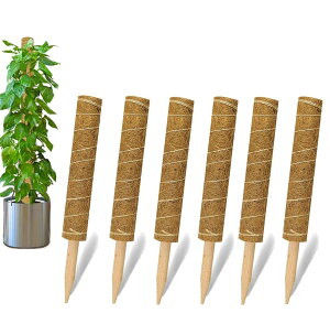 Ax |x 6{Zbg 鐫A T|[g ϗtA Xe RRibcx WCg Ax AlN^C Ԏx A ێ ɗD _Ɨp |pc[