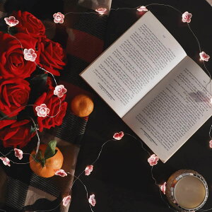 C~l[VCg ̉ LED dr 3m 30 _/_ hhodl tFA[Cg O///K[fCg /NX}XpCg j  a NX}X