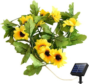 \[[Cg O h q} \[[ K[hCg ΂̂ }  K[fv ԃCg tFX Ő eX  p (6.6tB[g)