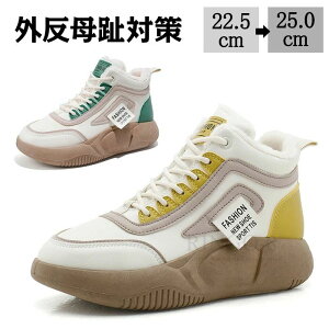 fB[X V[Y Xj[J[ O V[Y fB[X V[Y Xj[J[ O Xb|  Xj[J[ N fB[X C ɂȂ y y Xj[J[ fB