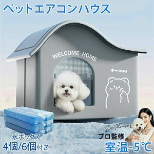 y2/4/6X{bNXtzL ybgGARnEX [ ybgnEX N[ ACX{bNX ėp [ Ђ ⊴ ȃGl h[^  ybgxbh lR   O  