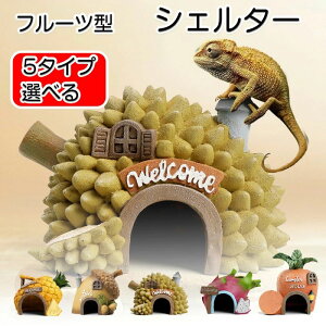 ঒ VF^[ t[cVF^[ B oXLOX|bg  ঒މB  gJQ T  VF^[  J   Mы nX^[ ঒   { i