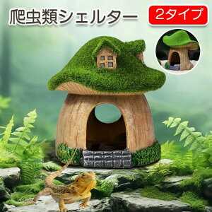 ঒ VF^[ LmRVF^[ B oXLOX|bg  ঒މB  gJQ T  VF^[  J   Mы nX^[ ঒   { i