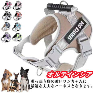 pn[lXnhtp[n[lX֔˃e[v^-^яoh~ȒPnhn[lX\tgՌz^