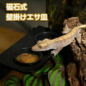  ΕǊ|GTM GTM  㐫 ঒  GTM ݏ  H wr Ip JG gJQ  a t[hJbv H