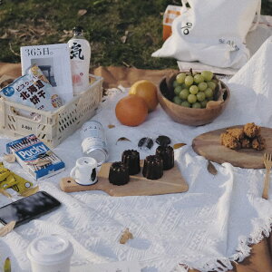 レジャーシート ピクニックシート ピクニックマット インスタ映え 薄型 韓流 おしゃれ レースの布デザイン 花見 遠足 キャンプ用品 写真撮りの背景 2~3人用 中サイズ 90*180CMプレゼントギフト