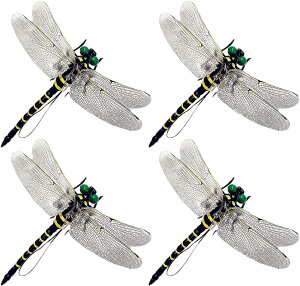  傫 12cm {TCY 4CZbg Xgbv Sst ͌^ g{ oR Lv ނ ߕ Ȃ