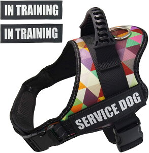  n[lX p bV nht ߉\ U o P 锽  h~ Eh~ (}`J[)