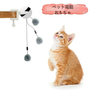 L炵  ފ ނ肴 ybgd Lp{[ d邮 L񋻕 XgX΍ ^s  ϋv 킢 