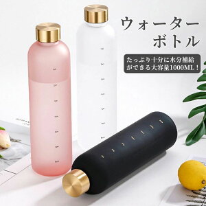 1000ml  1bg ^C}[J[t 킢 e 1L Rh~  lC qǂ 􂢂₷ AEghA X|[c Lv jO W ] EH[^[{g ڐ 