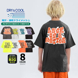 【送料無料】キッズ Tシャツ BIGサイズ 接触冷感 ドライメッシュ バックプリント Tシャツ ゆったり オーバーサイズ 子供服 半袖 吸汗速乾 UVケア 熱中症対策 スポーツ 男の子 女の子 こども服 SHISKY シスキー 韓国ファッション 110cm 120cm 130cm 140cm 150cm 160cm