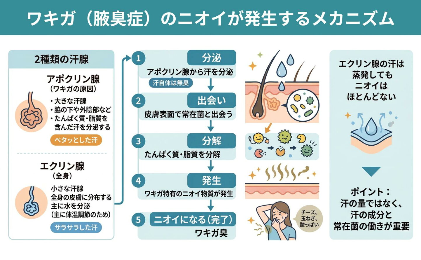わきが セルフ チェック