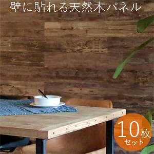  ؐ EH[pl yz ySOLIDECO ǂɓ\VR؃pl 10g SLDCPR-10Pz [v~AV[Y] [JtF̕ǂɃtH[ AȎ̃Ebhpl V[^C