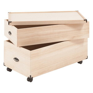 ˉ[P[X 2i 54.5cm gb-0018 m˃P[X [ ˔ ˈߑP[X P[X ˉƋ LX^[tn