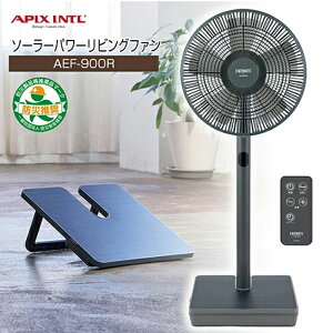 Ɣd@ 8iKyAsbNX \[[p[rOt@ AEF-900Rz