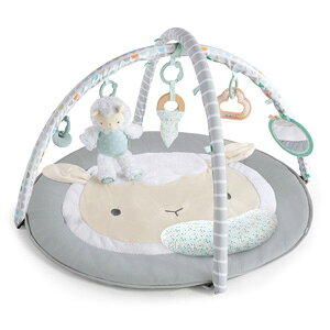 Ingenuity V[v X|bg ANeBreBW 12470 yEz mxr[W@ Eh xr[}bg Q ẑ xr[pi vCWn