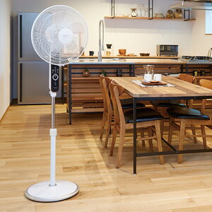 AsbNX ACtA[@ AFL-254R  ʔ yz mACrOt@ APIX ƒp@ Rt rO@ ^C}[t U rOt@n