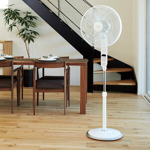 AsbNX DCtA[@ AFL-284R  ʔ yz mDCrOt@ APIX ƒp@ Rt rO@ ^C}[t U nC|WVn