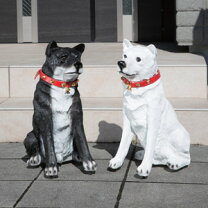 楽天市場】犬 置物 センサー（インテリア・寝具・収納）の通販