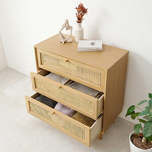 ^ ߕ҂ `FXg 80 RCH-1241  ʔ yz m^`FXg rt`FXg ؍ IV rO`FXg ߕ҂ 80 3i`FXg n