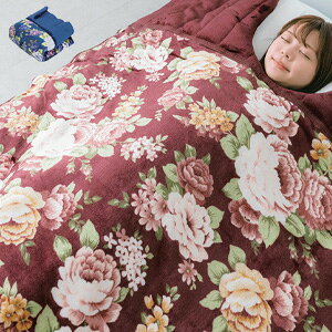 }C[2킹 3w\ 肦ѕzzc 2Fg a28582 ʔ yz m肦ѕz 2FZbg IV  ѕzzc 킹ѕz ԕ ܖѕzn