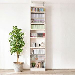 ˂ǖʎ[bN 60 RCC-1559