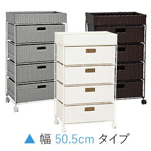 LX^[th[[I yEizyh[`FXg 50.5cm RAN-2412z h[`FXg h[[bN JS