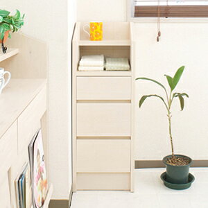 yJE^[o[32.5cmNO-0018z܎[Ƌ̒ʔ́ysmtb-sz