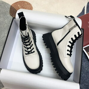 zCg}[eBu[c fB[X V[Y V[gu[c nCCOJbWX^C a2495