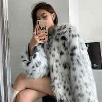 楽天市場】伊太利屋 毛皮の通販 