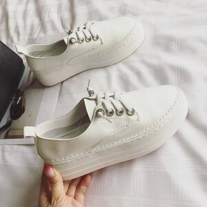 ꃌU[Xj[J[ V[Y Xj[J[ fB[XV[Y fB[XXj[J[ Xj[J[.  Xb| 2J[ a3667