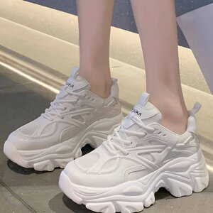 fB[X Xj[J[ r g L[g  N[ u[ r }jbV [Y ݊ Vv l t  X|[eB[ K[[ 킢  ꂢ