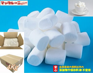 }V} zCg ( p 4Kg) y  z َq ٍޗ gbsO Ɩp R[Q BBQ ۑ sgp Y S